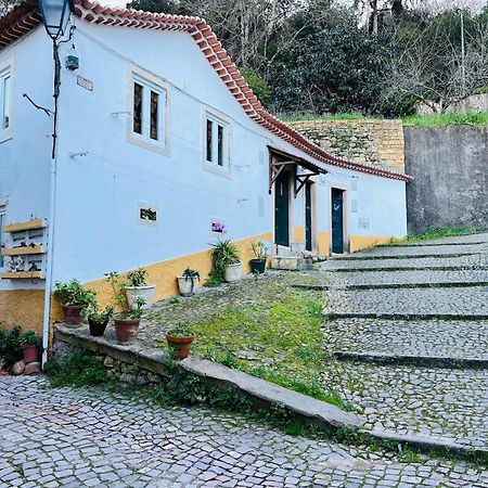 Pe Do Castelo Casinha - Pet Friendly & Garage Villa Tomar Eksteriør billede