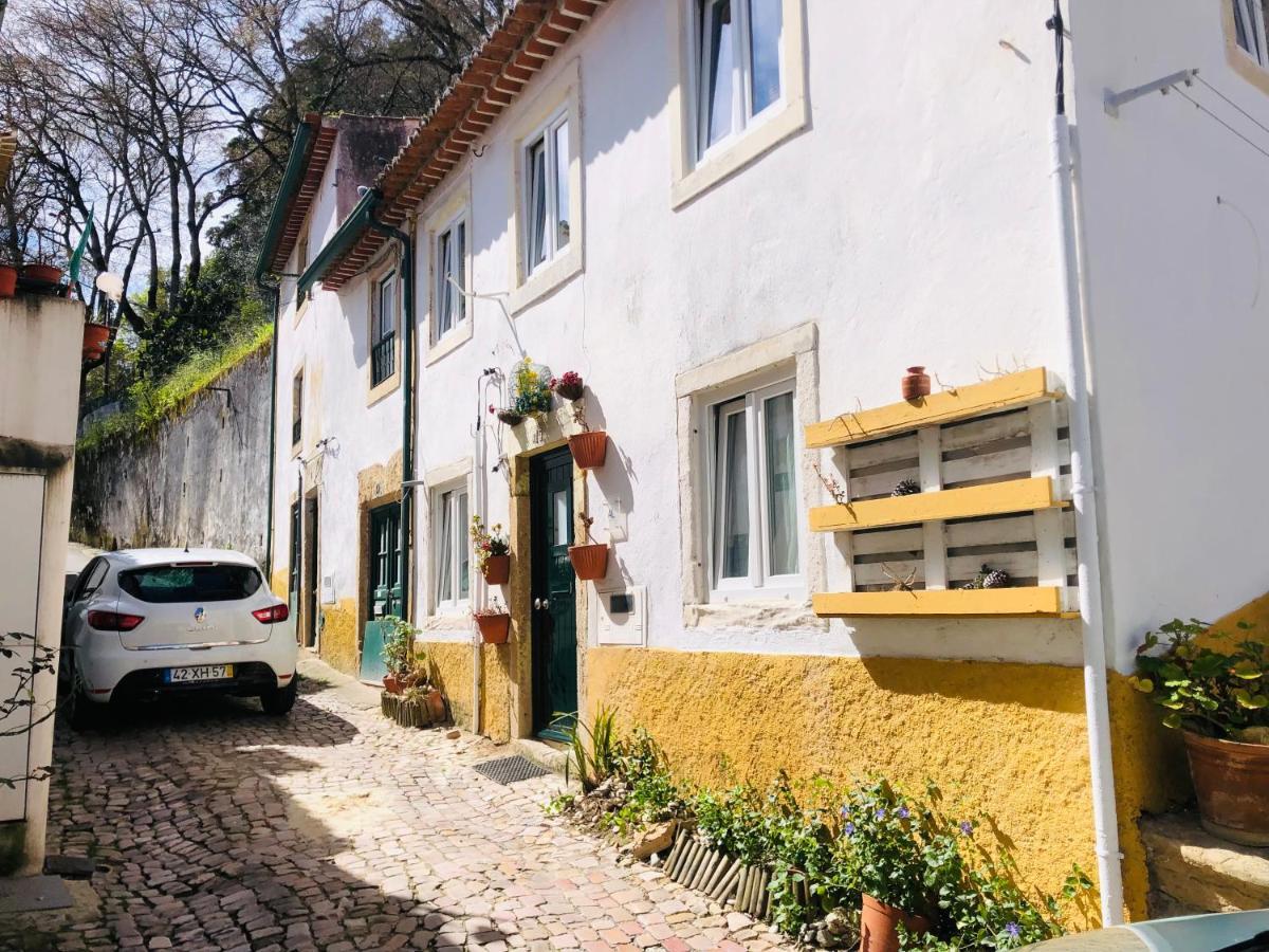 Pe Do Castelo Casinha - Pet Friendly & Garage Villa Tomar Eksteriør billede
